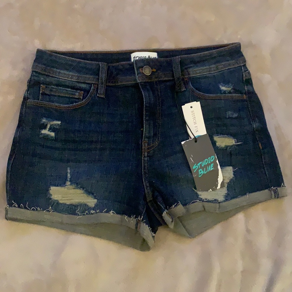 Studio Blue Kadence Distressed Denim Shorts from Stitch Fix (Size 4)